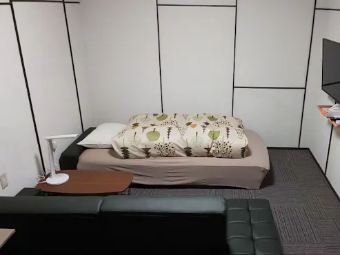 โซฟาเบดขนาด 100×200 ซม. จำนวน 2 ตัว