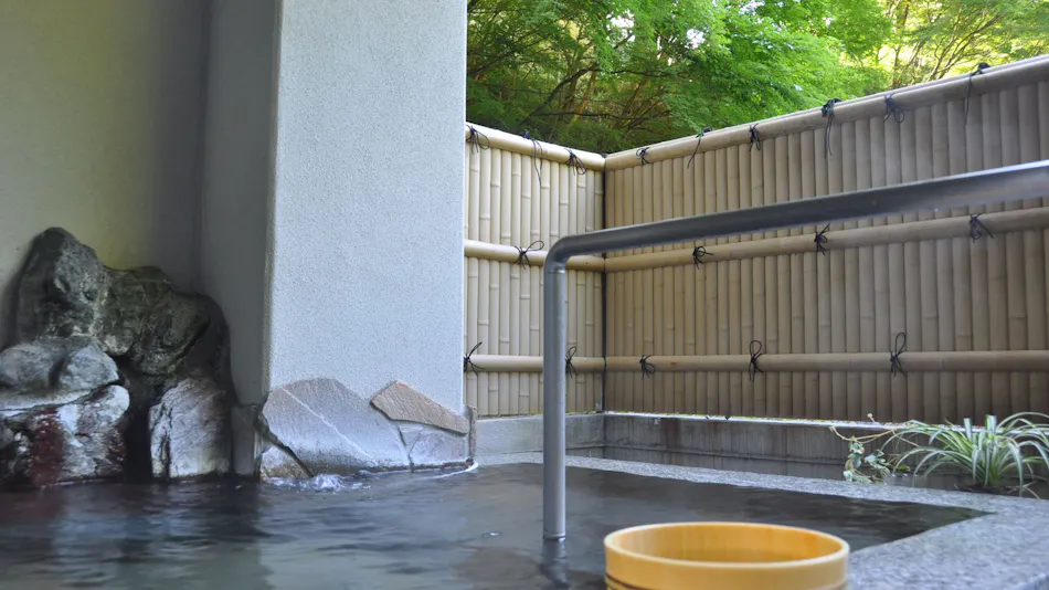 Yugokoro no Yado Ryokan Ichikawa