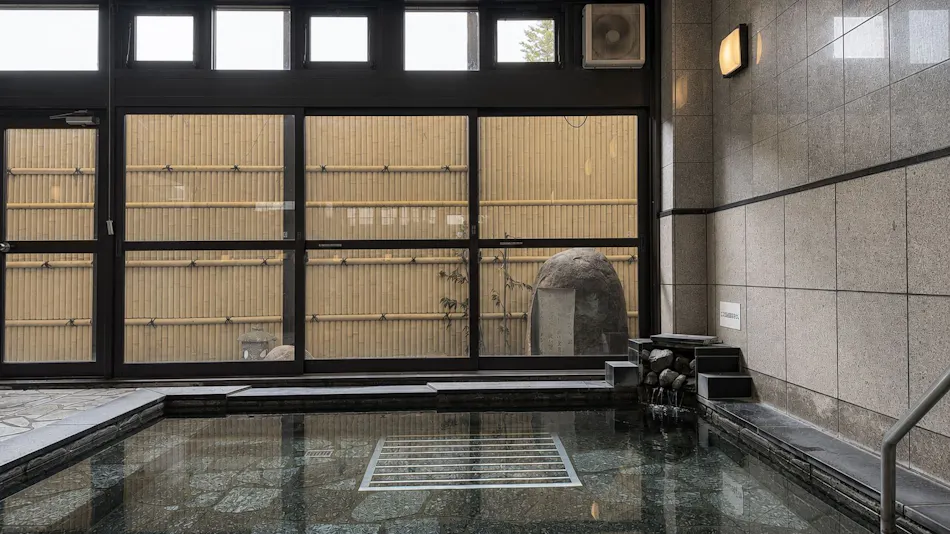 Aizu Astraea Hotel