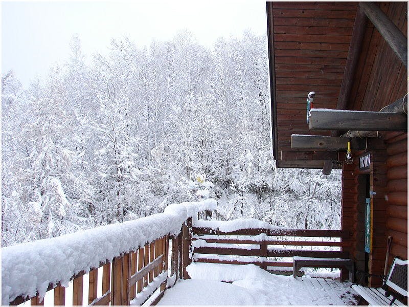Log Pension Pine House