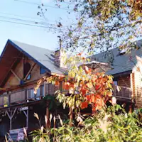 ทัศนียภาพฤดูใบไม้ร่วง 1