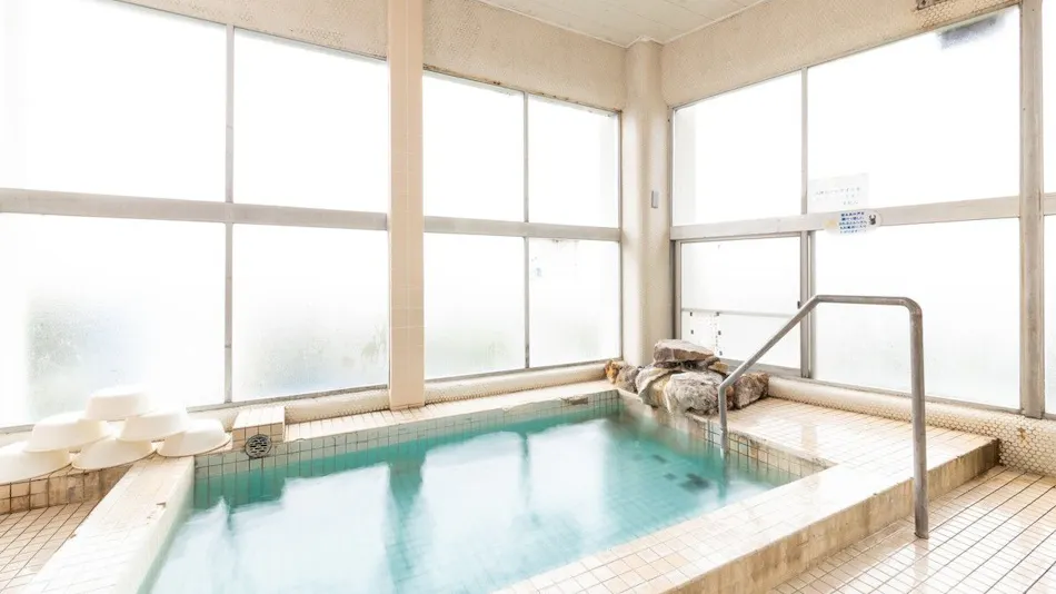 Pet-Friendly Shirahama Onsen Bay Lily National Lodge