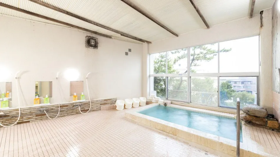 Pet-Friendly Shirahama Onsen Bay Lily National Lodge