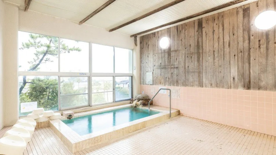 Pet-Friendly Shirahama Onsen Bay Lily National Lodge