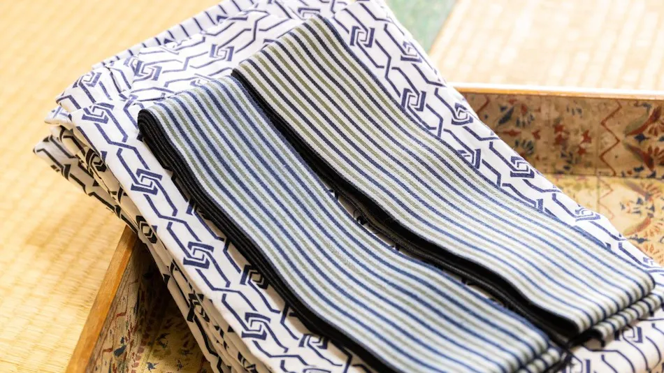 Pet-Friendly Shirahama Onsen Bay Lily National Lodge