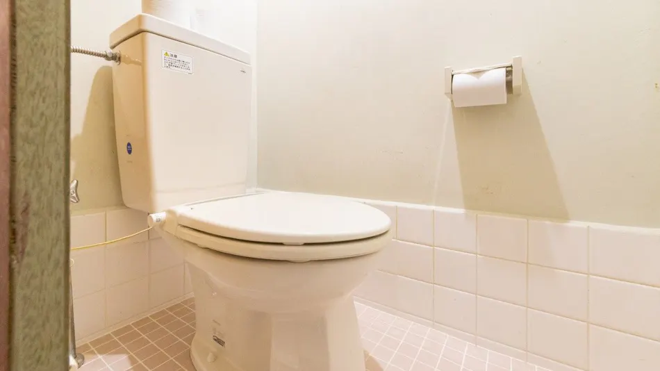 Pet-Friendly Shirahama Onsen Bay Lily National Lodge