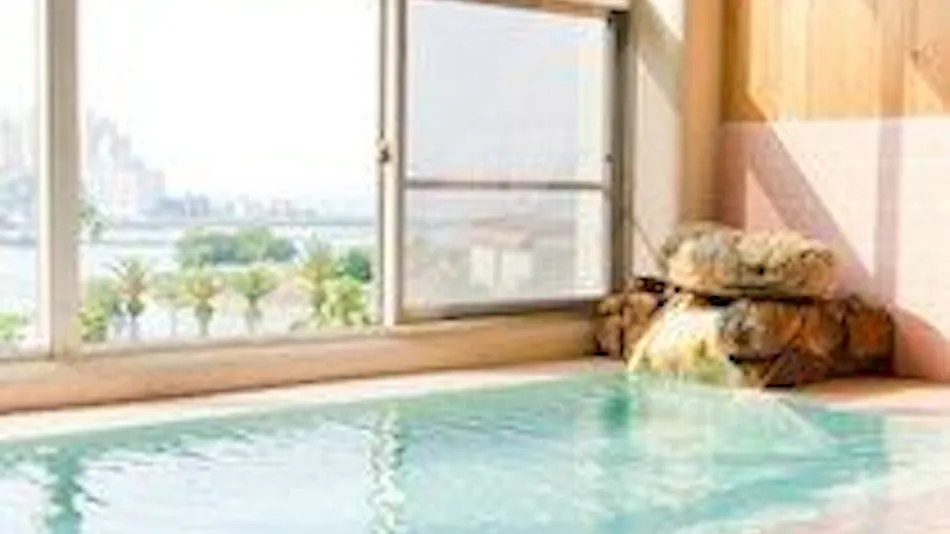 Pet-Friendly Shirahama Onsen Bay Lily National Lodge