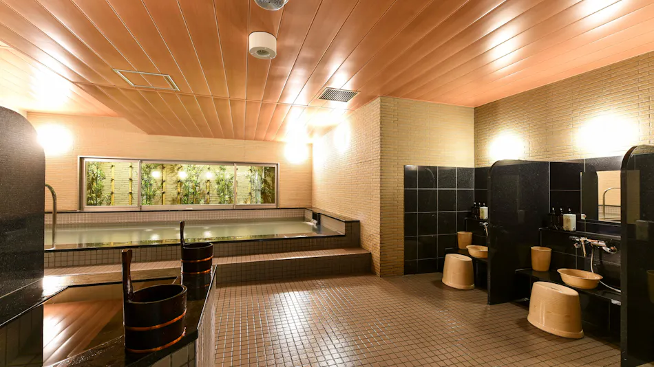Hida Takayama Washington Hotel Plaza
