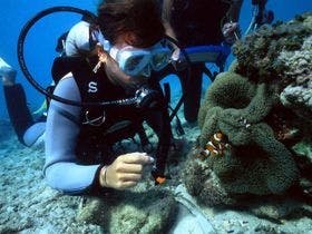 リーフイン国吉