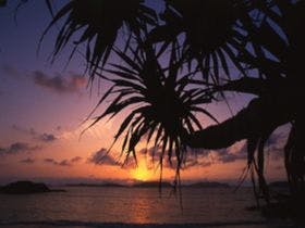 リーフイン国吉