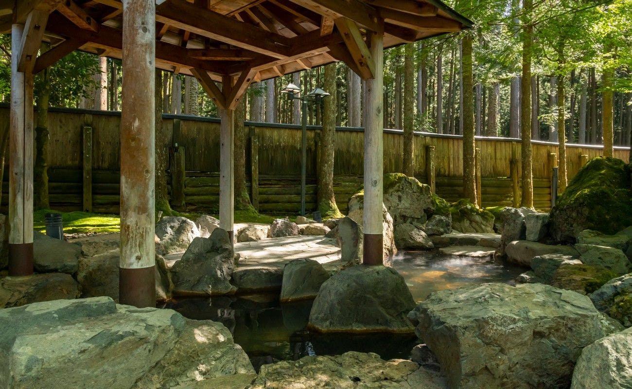 Hana Hasu Onsen Somayama