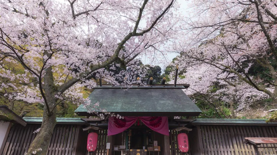 Hana Hasu Onsen Somayama