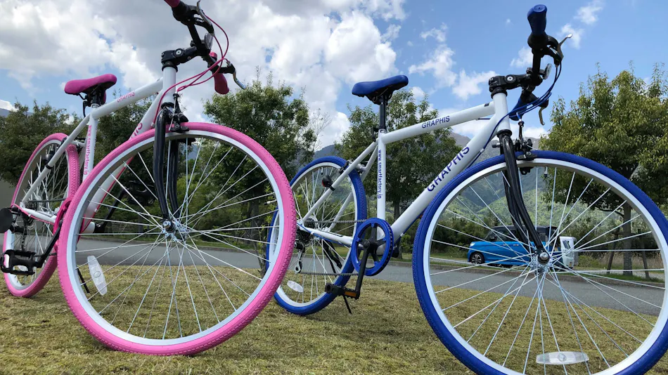 The Grand Resort Omi-Maiko