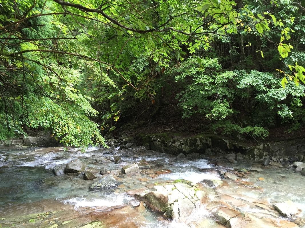 山上川源流
