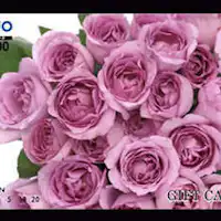 บัตร QUO 2000 เยน