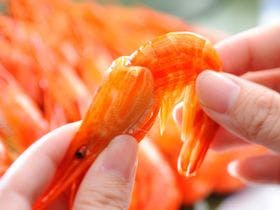 海山美味の宿 サロマ湖 悠林館