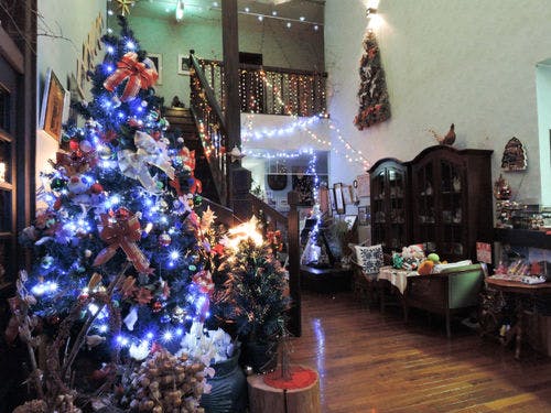 *【ロビー】クリスマスには大きなツリーも