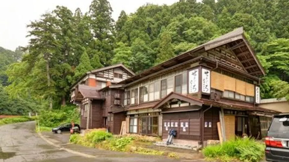 Kiyotsu Gorge Hotel Setoguchi