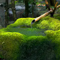 Suasana alami dan harmoni memberikan ketenangan pada hati.