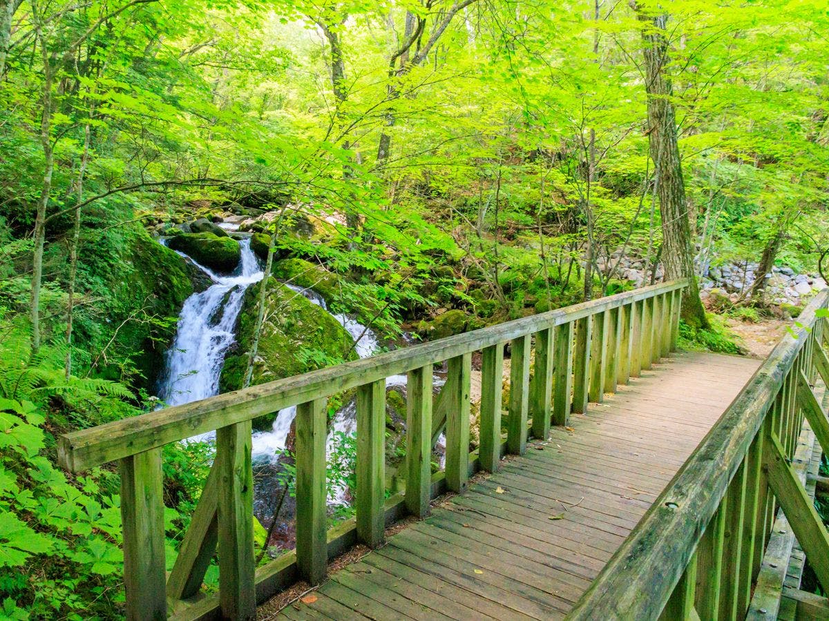 Taman Alam Dataran Tinggi Yachiho