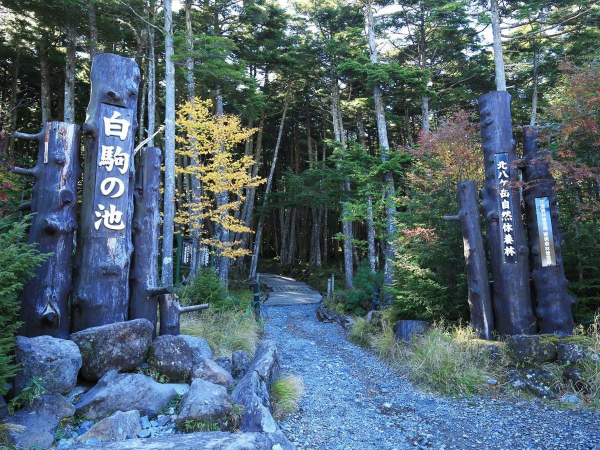 Pintu Masuk Tasik Shirakoma