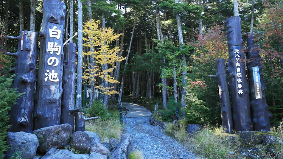 Shirakoma Inn