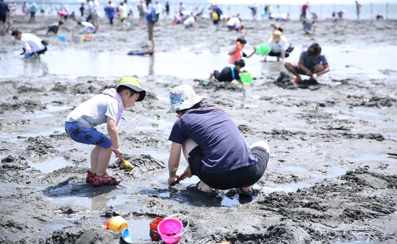 Pantai Mandi Oarai Sun Beach (mengutip kerang)