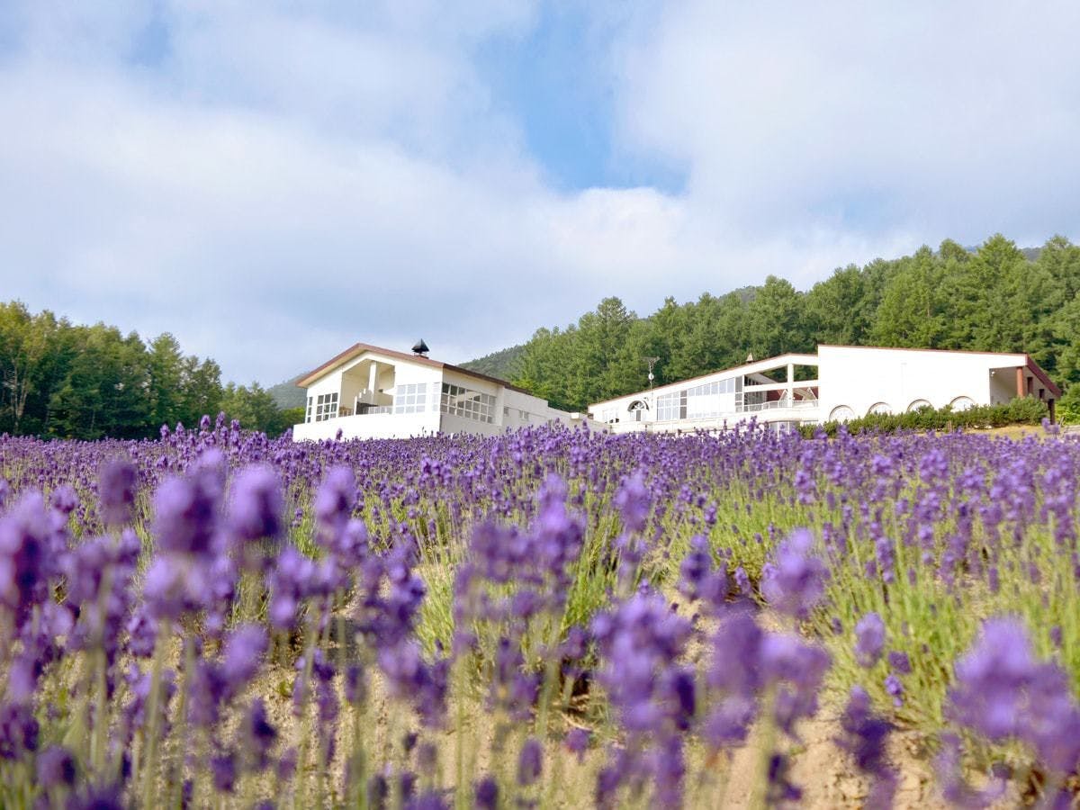 Highland Furano