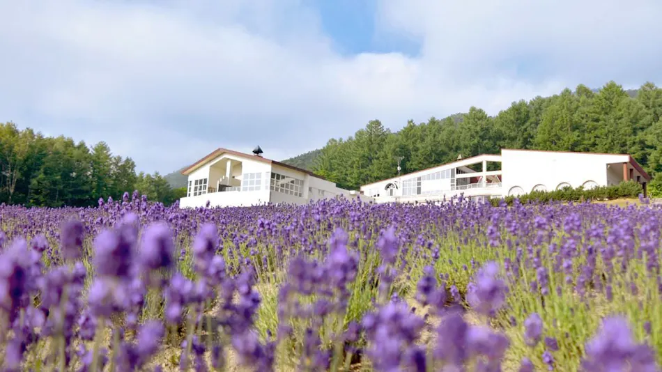 Highland Furano