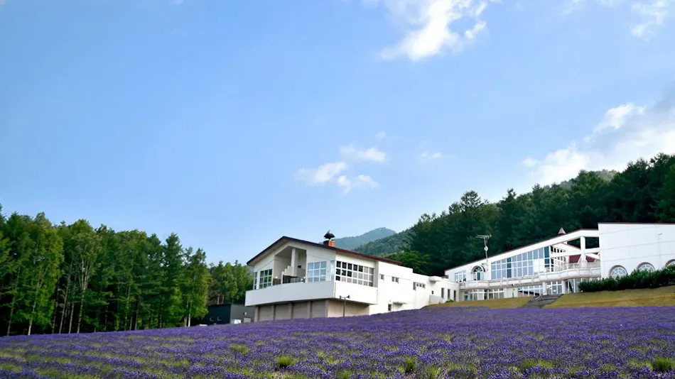 Highland Furano