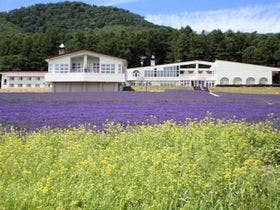 ハイランドふらの