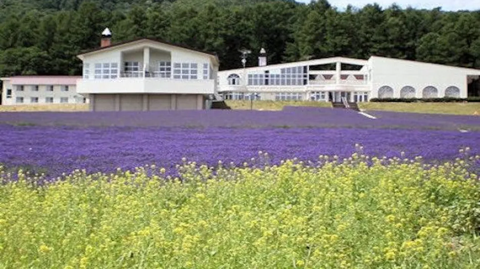 Highland Furano