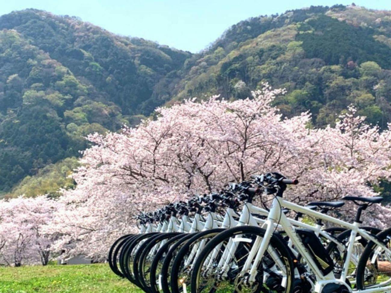 Konastay Izu Nagaoka