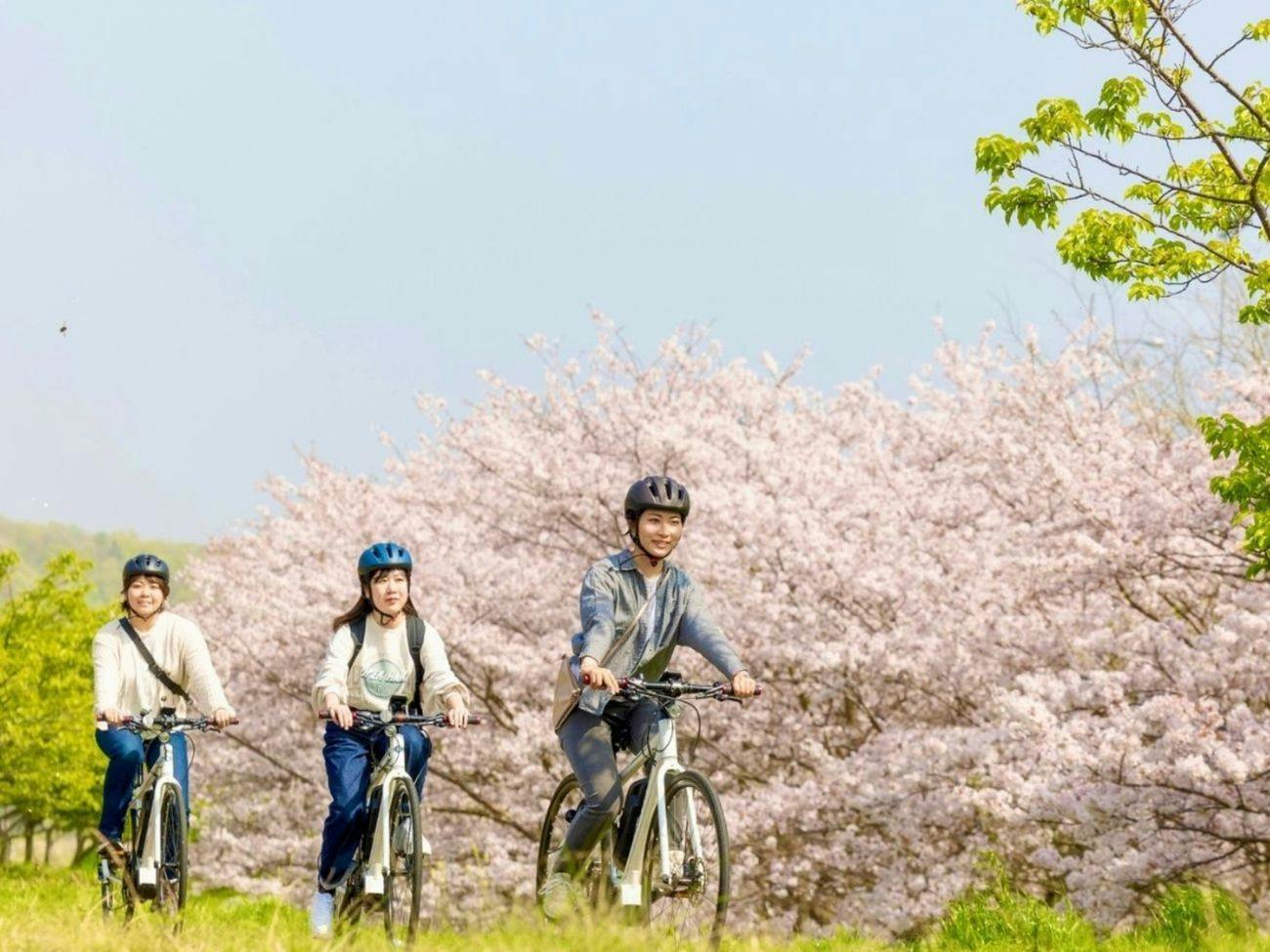Konastay Izu Nagaoka