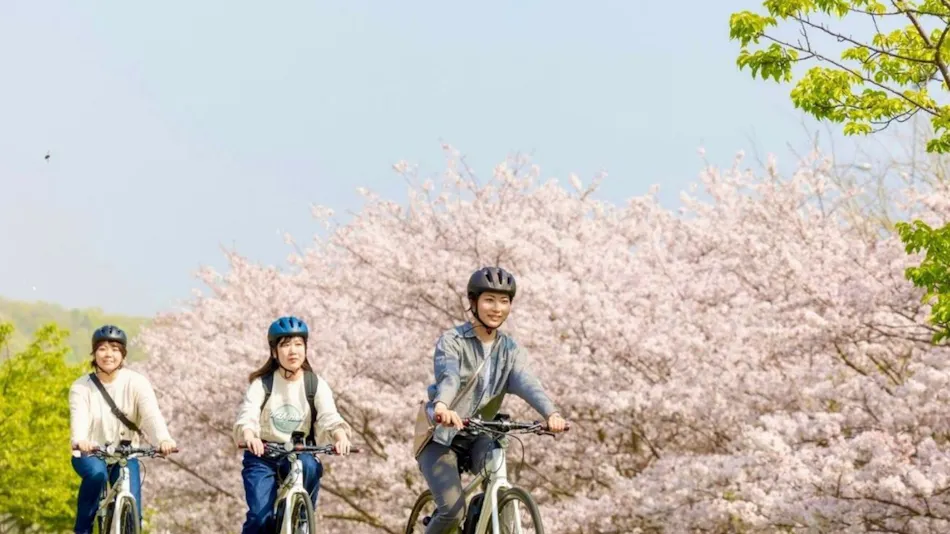 Konastay Izu Nagaoka
