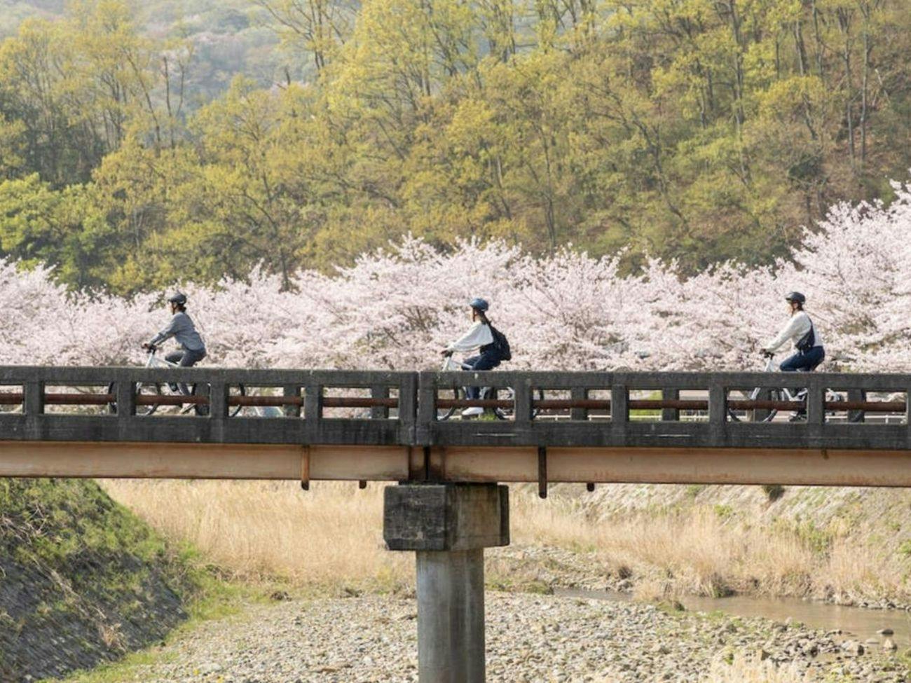 Konastay Izu Nagaoka