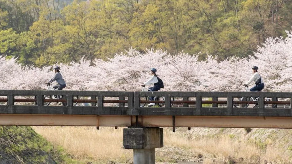 Konastay Izu Nagaoka