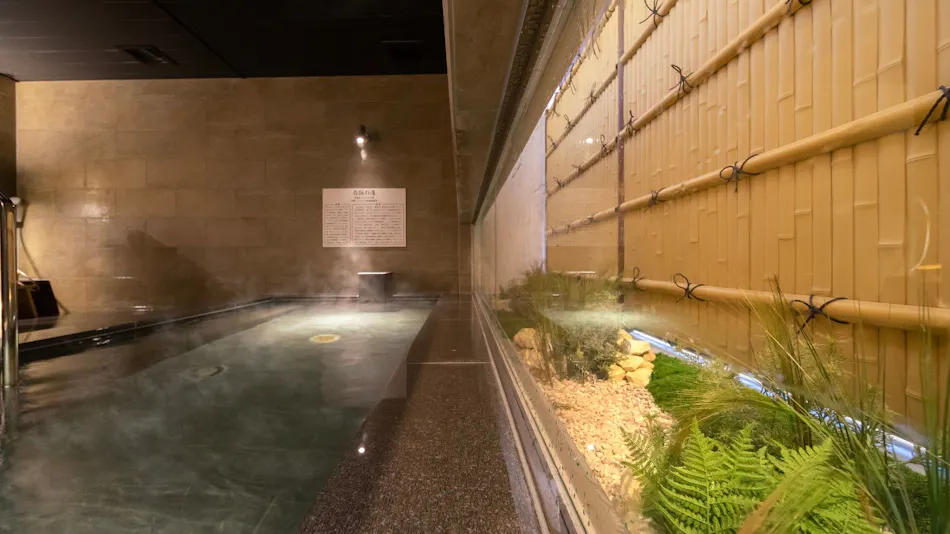 Natural Hot Spring Byakko no Yu Super Hotel Yamaguchi Yuda Onsen