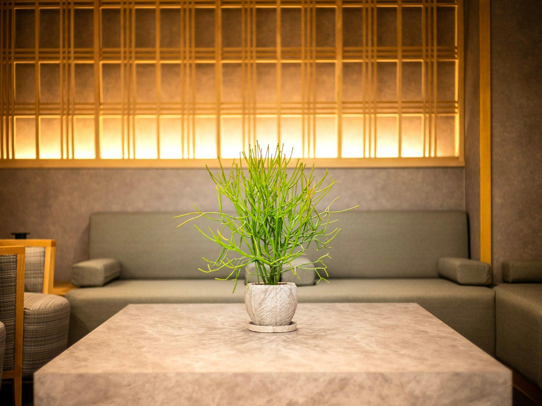 Natural Hot Spring Byakko no Yu Super Hotel Yamaguchi Yuda Onsen