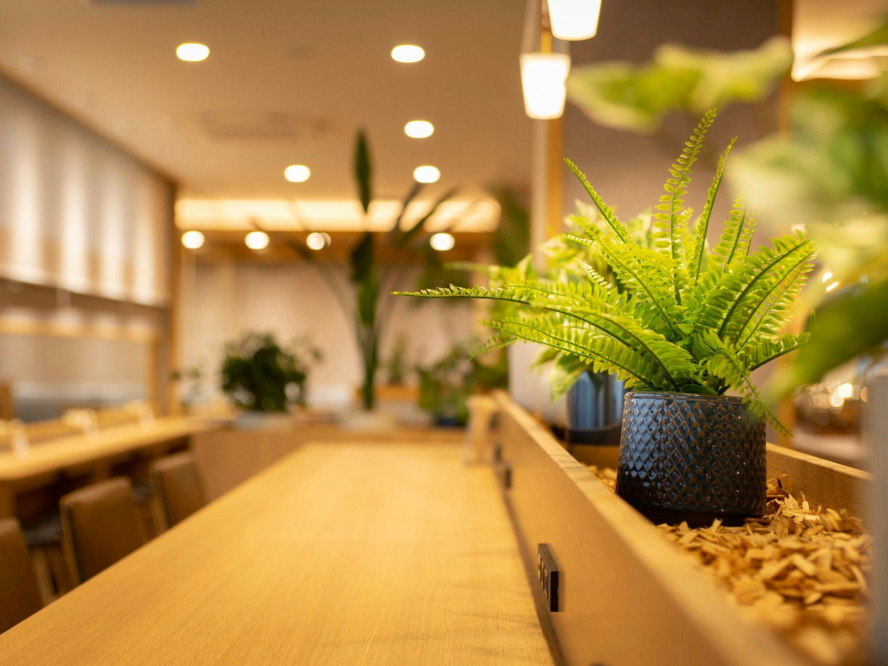 Natural Hot Spring Byakko no Yu Super Hotel Yamaguchi Yuda Onsen