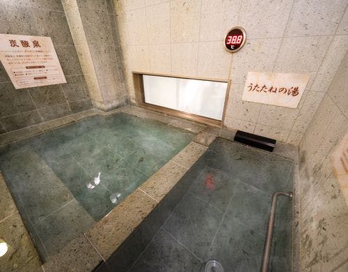 【Natural】人工炭酸泉「うたたねの湯」