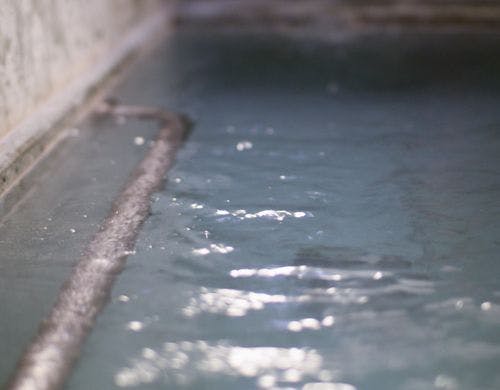 【Natural】健康促進・疲労回復・美肌効果