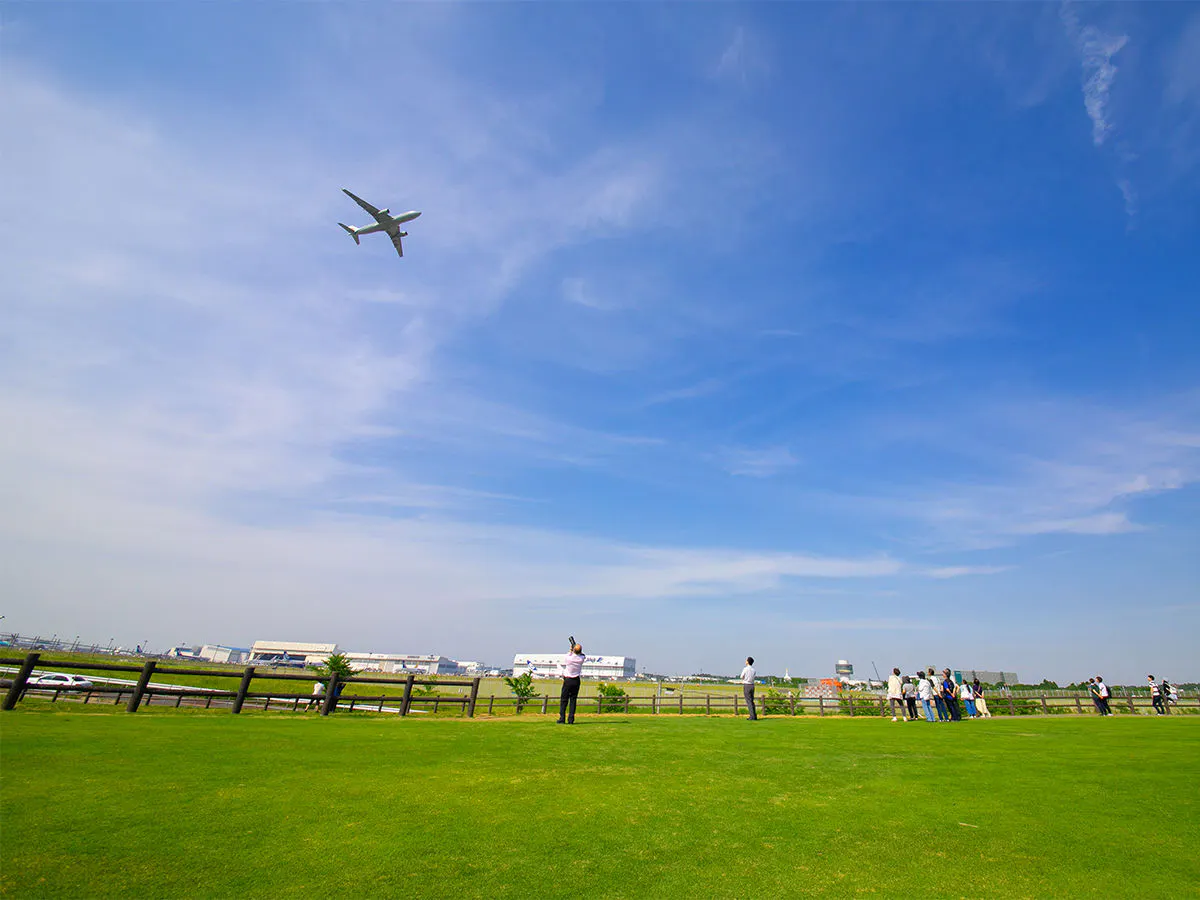 - parallel query processing r&g Images High Quality... 北海道成田 – 成田 新千歳 ピーチ | 成田 尚 – CILEY