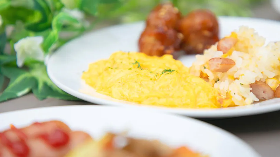 Narita AIC Airport Hotel