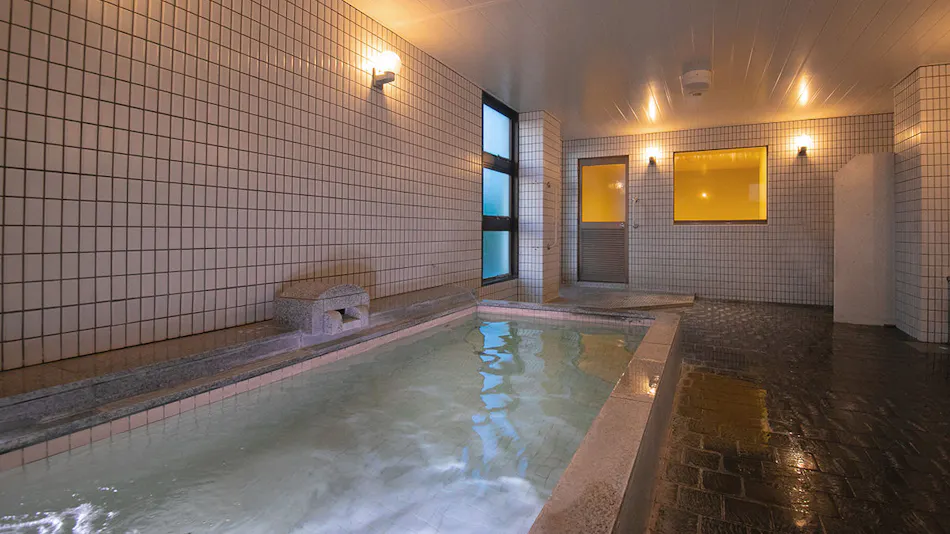 Narita AIC Airport Hotel