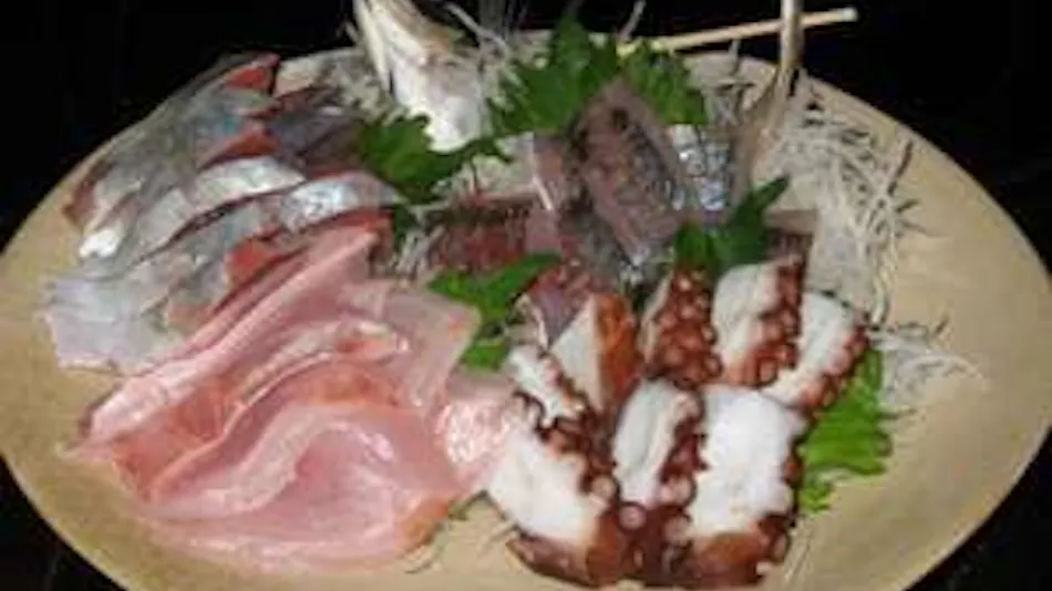 Minshuku Katanashi