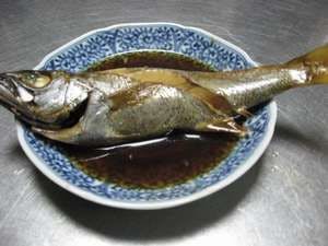 Minshuku Katanashi