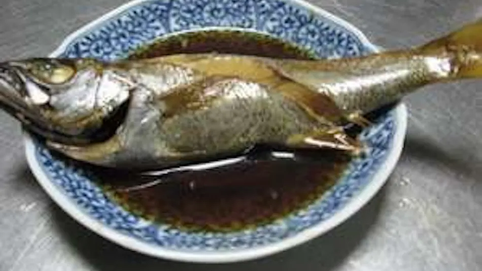 Minshuku Katanashi