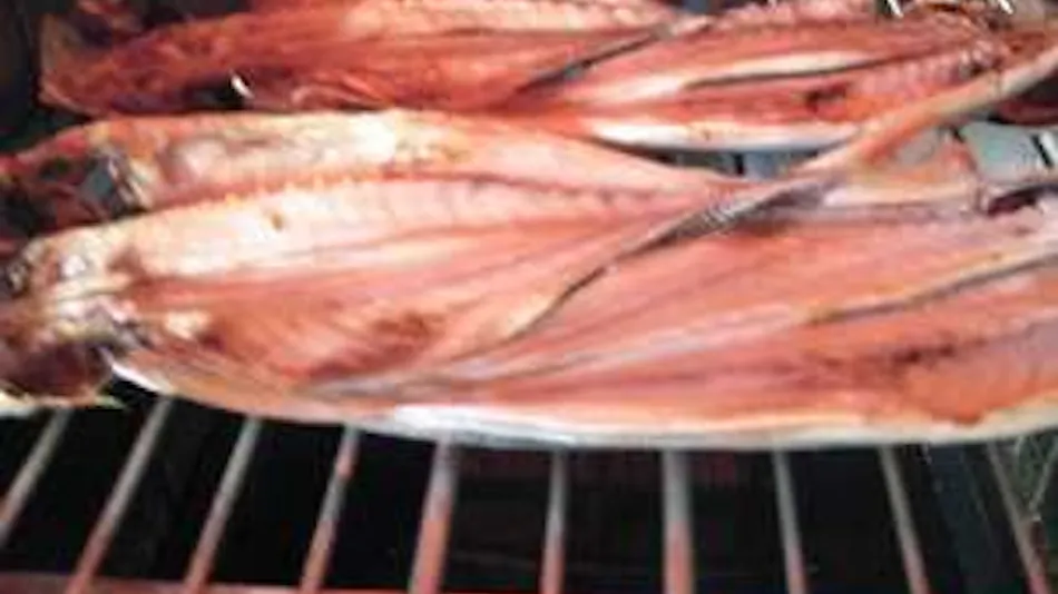 Minshuku Katanashi