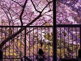 榊原温泉　旅館　清少納言